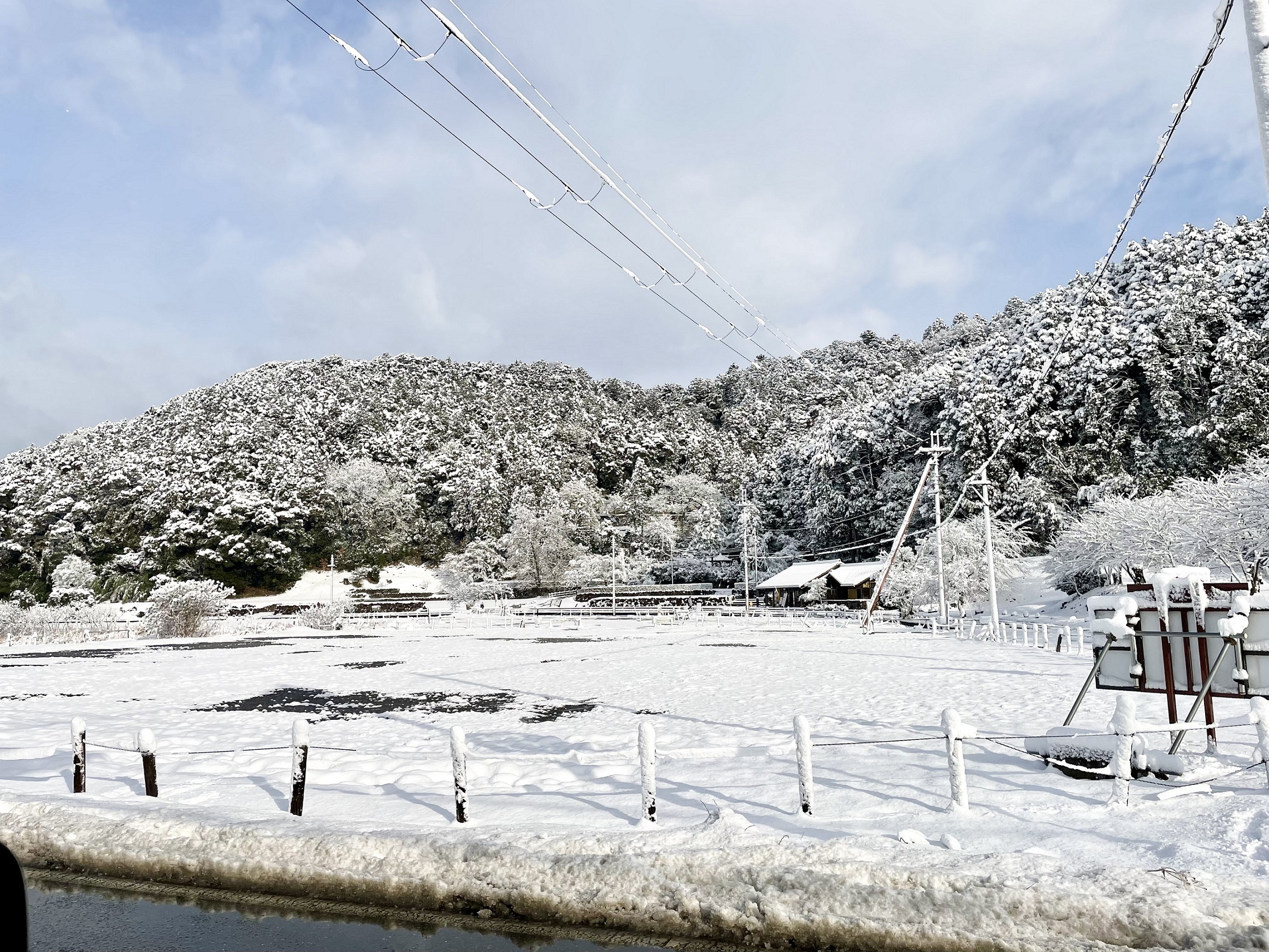 また雪ですね！