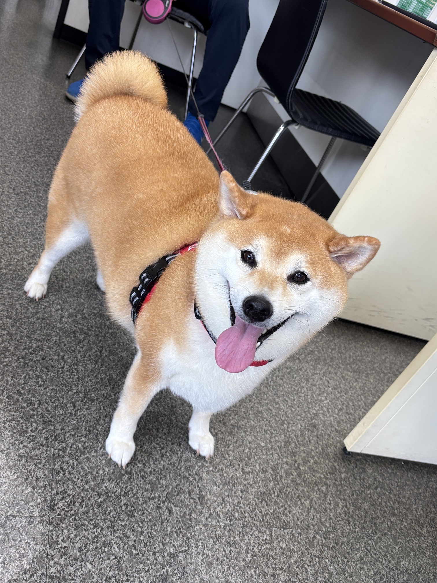 ワンちゃんにも人気のお店～♪