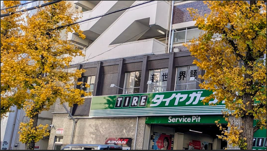 今年も！