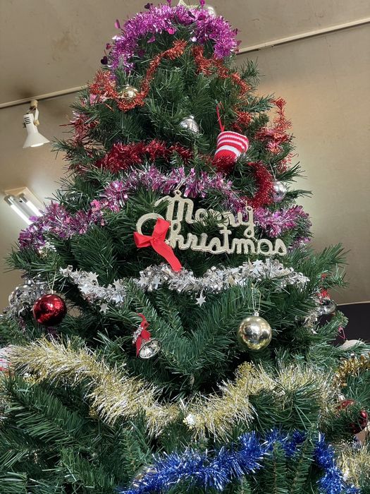 メリークリスマっした!!!*&lsquo;&forall;&lsquo;)ﾉ