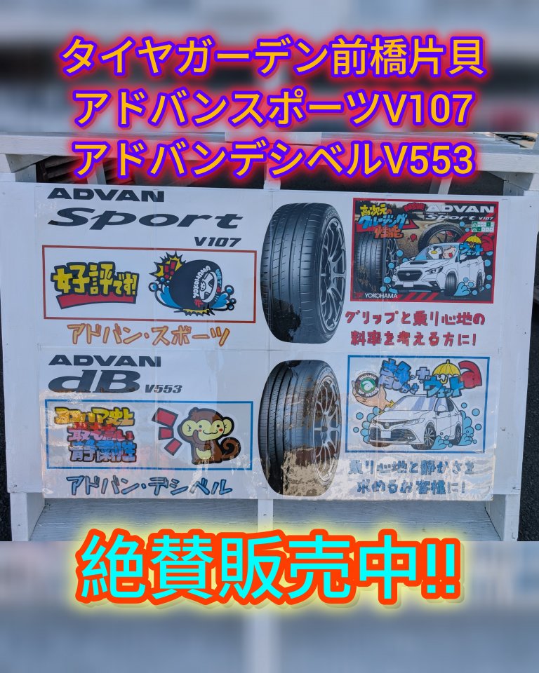 アドバンスポーツV107＆デシベルV553 絶賛販売中!!