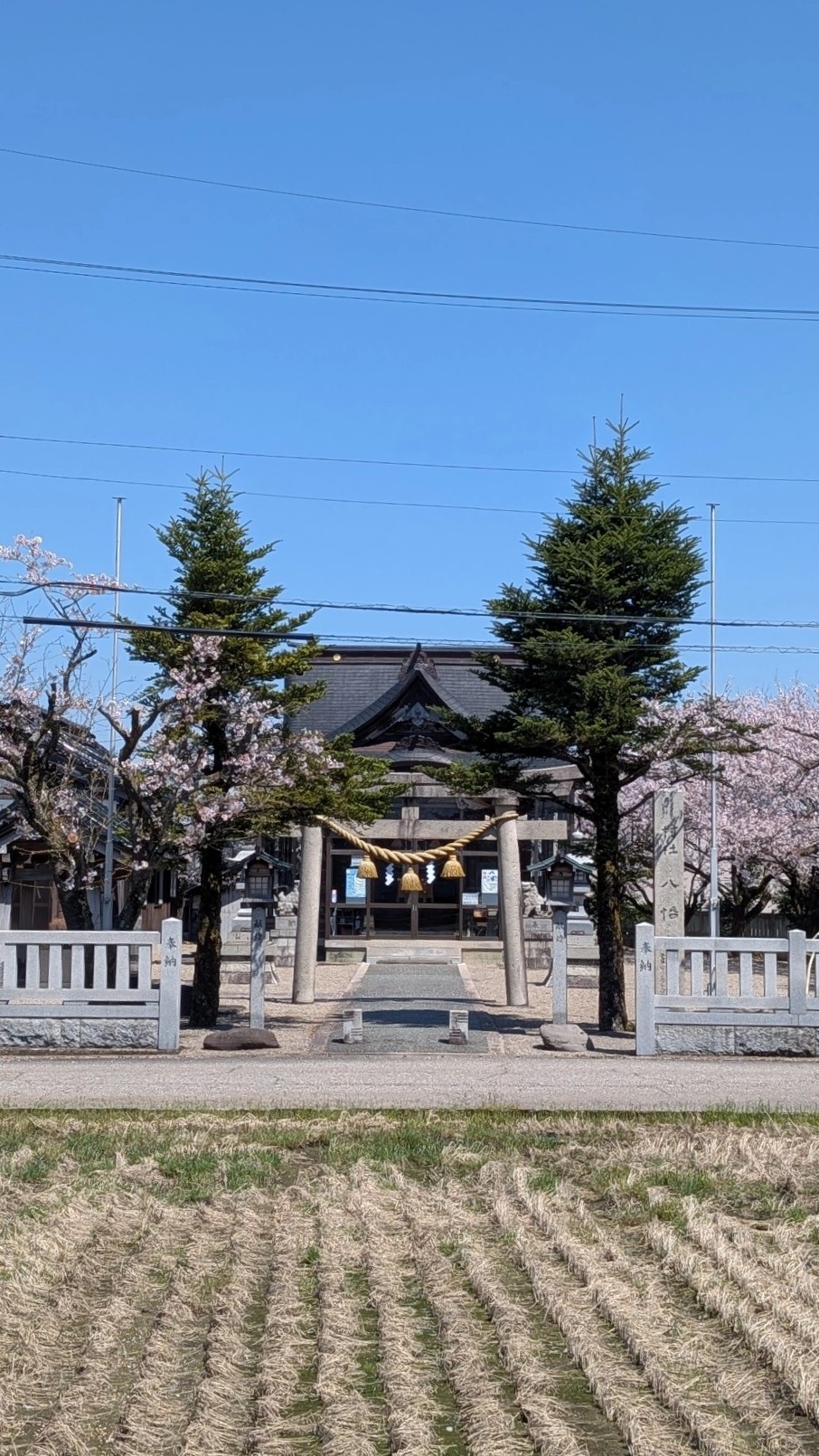 気づけば4月も後半