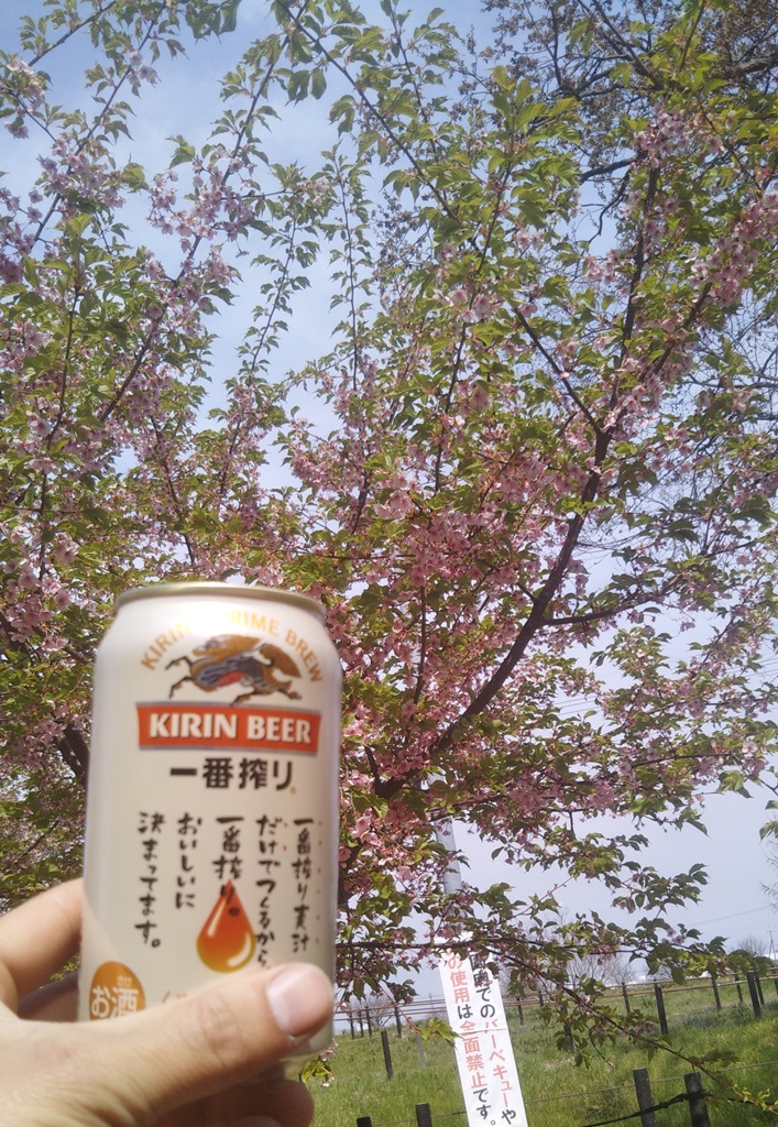 少し早いお花見！！