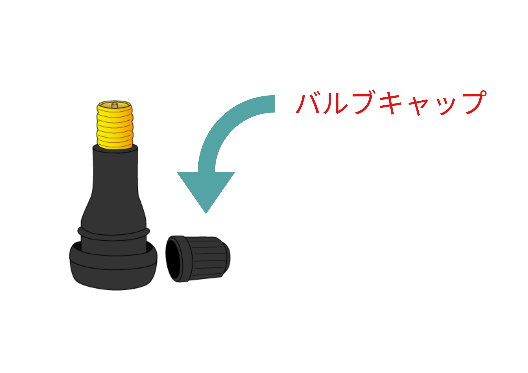 バルブキャップ