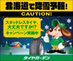 つ、ついに･･･出てきたー！！