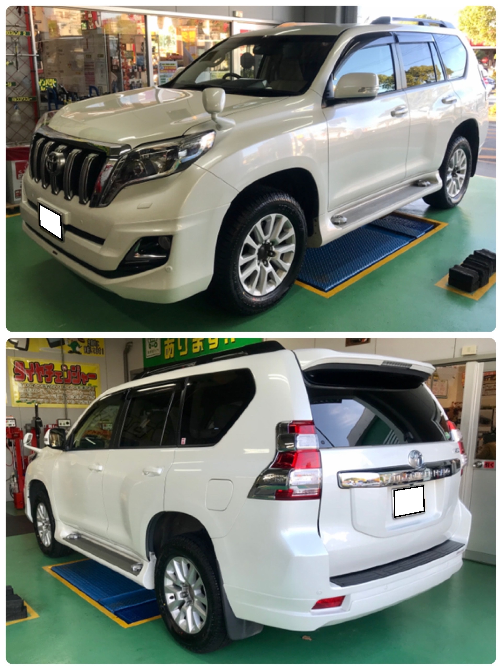 ﾌﾟﾗﾄﾞ x GEOLANDAR A/T