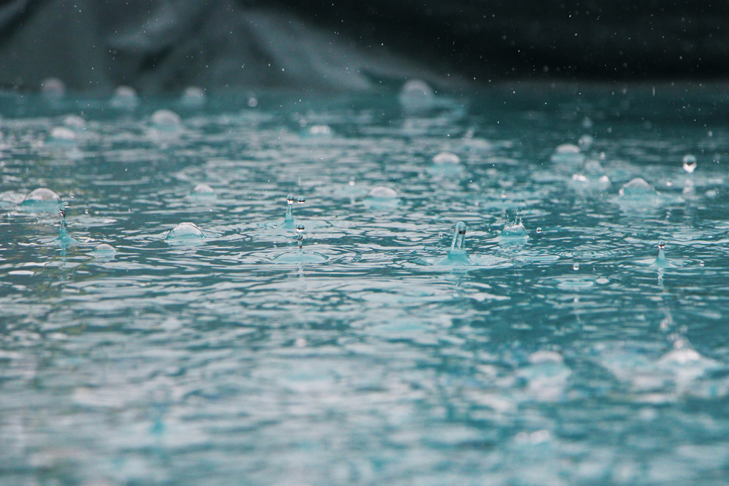 今日は･･･雨。