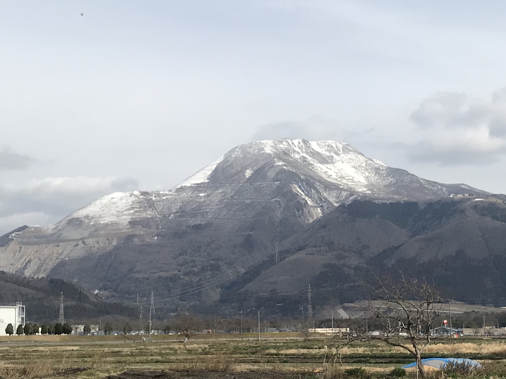 雪予報！