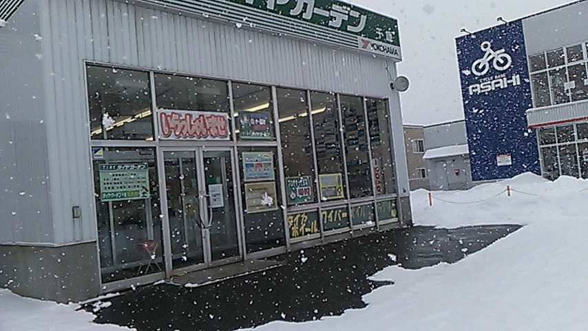 しとしと雪～