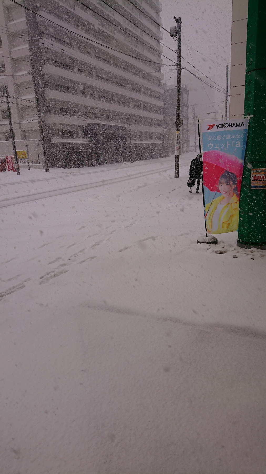 明後日から３月なんですが。