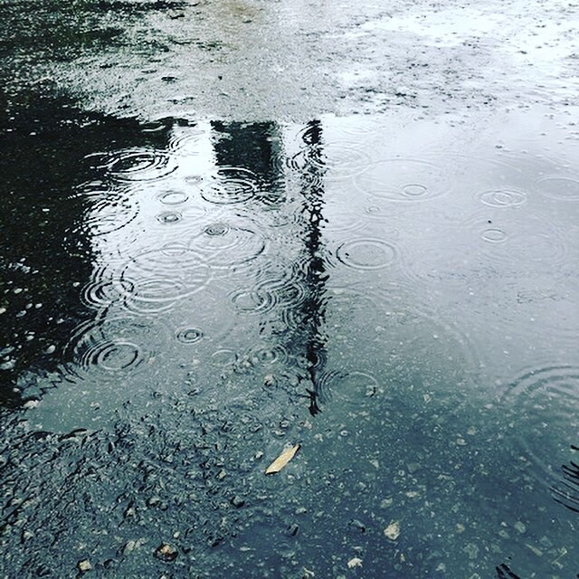 あいにくの天気ですが