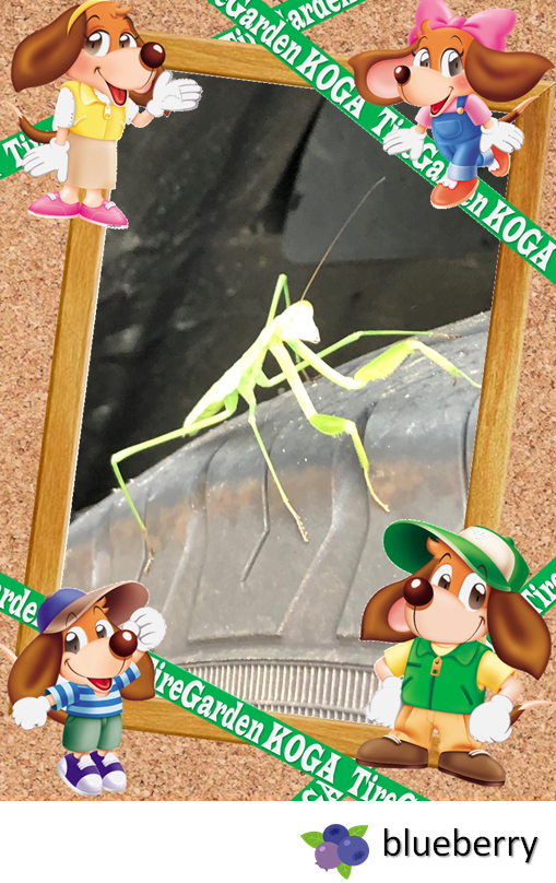 暑さに負けずがんばってます！