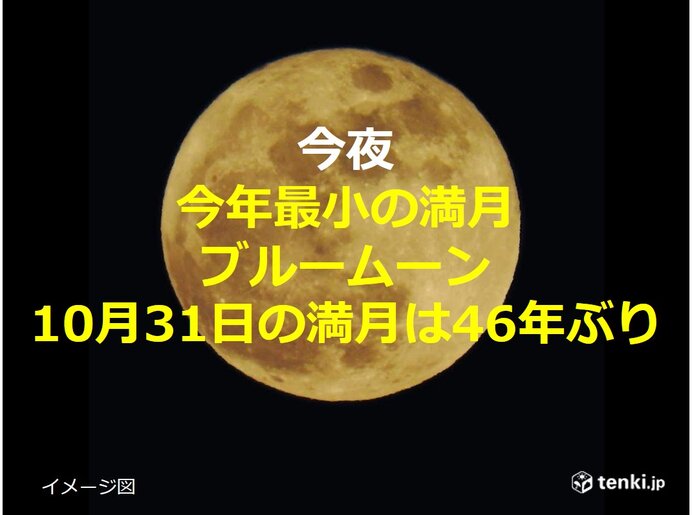満月のハロウィン