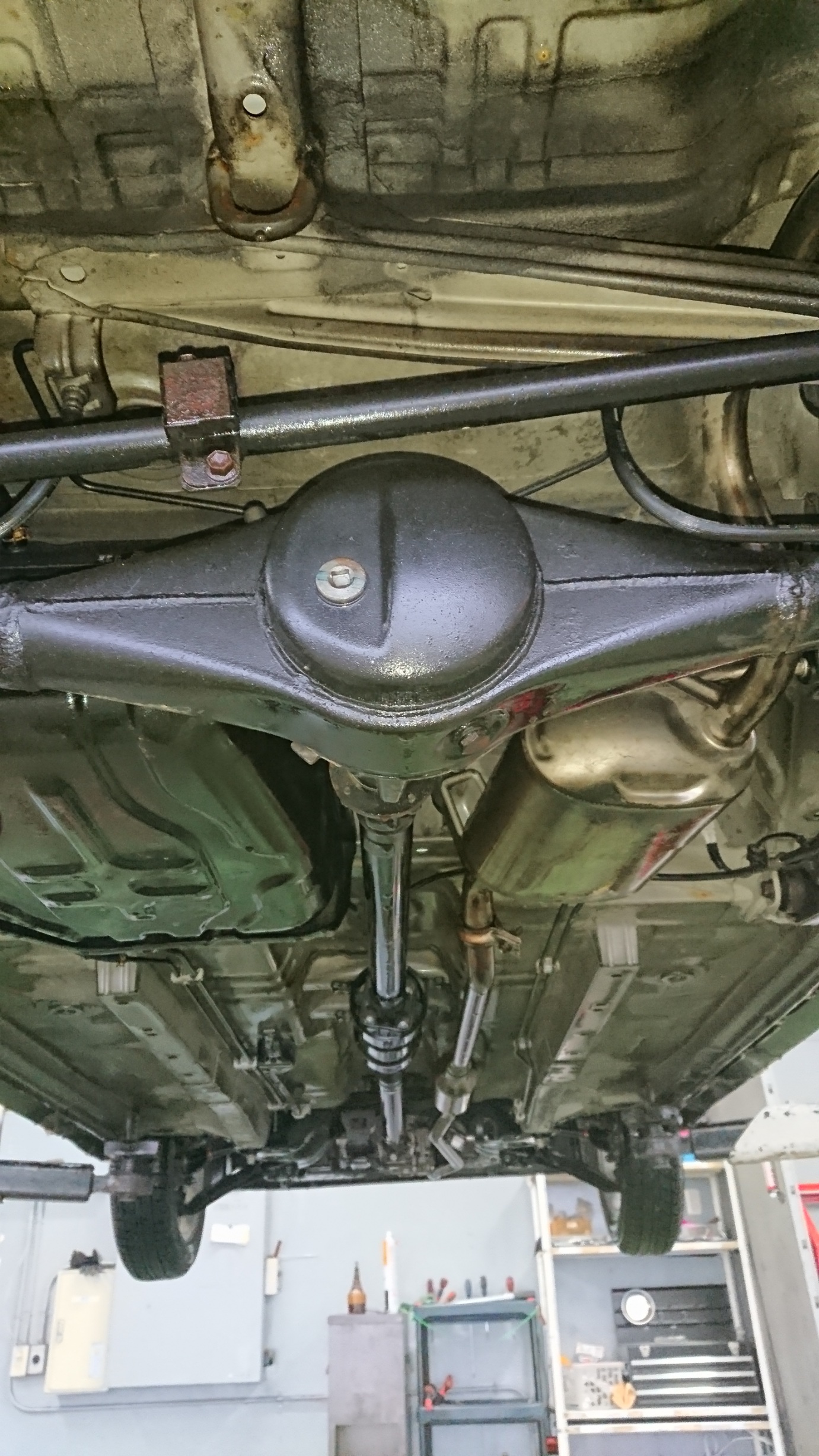 お車の下廻りを守ろう！