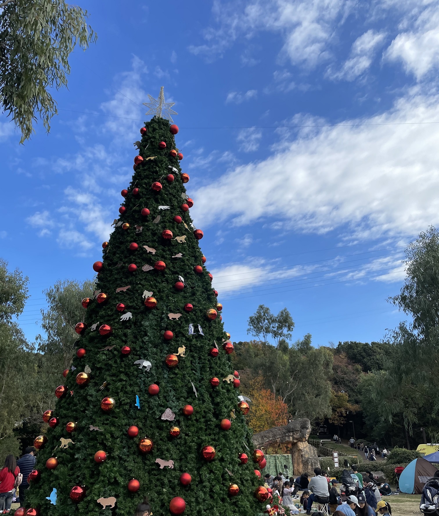 ☆メリークリスマス☆彡