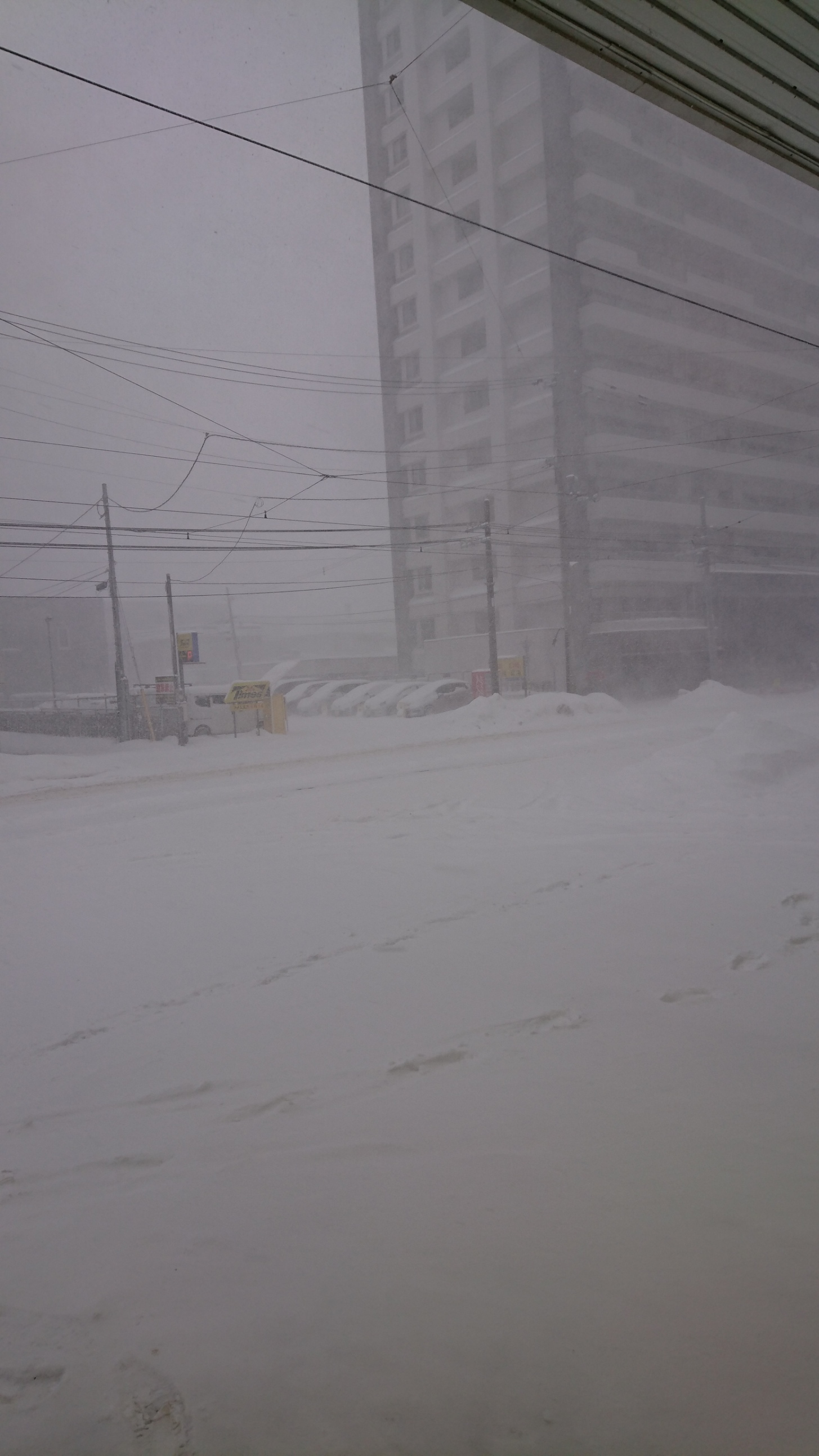 雪、吹雪、晴れ、雪･･･