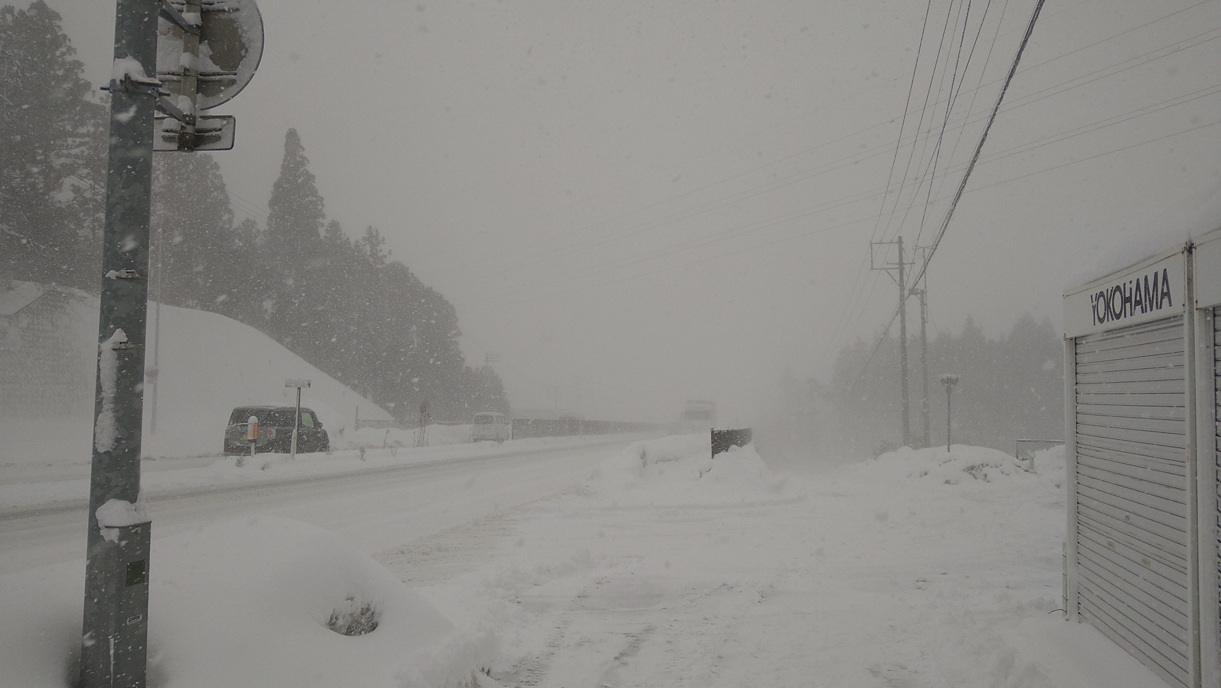数年に一度の豪雪