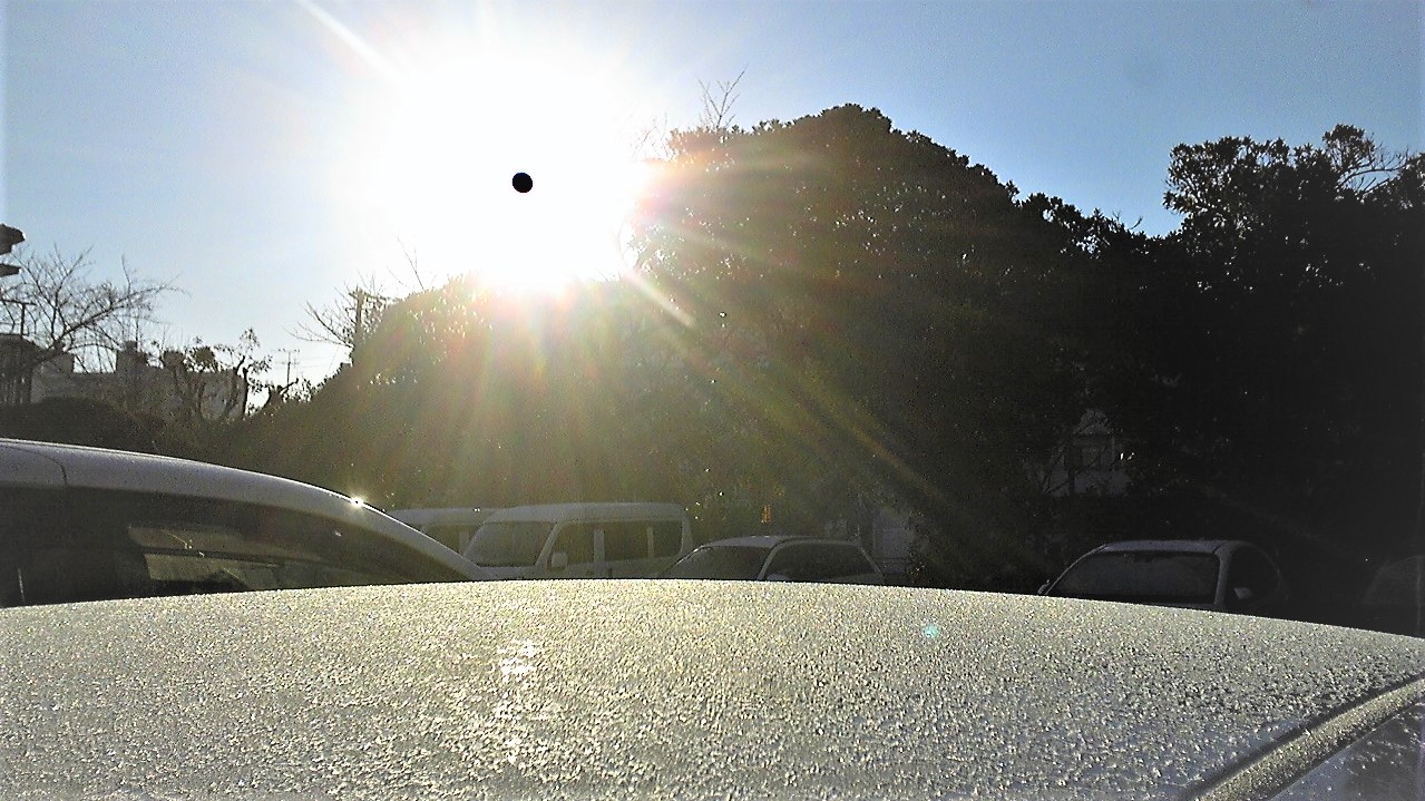 今日から　春？？