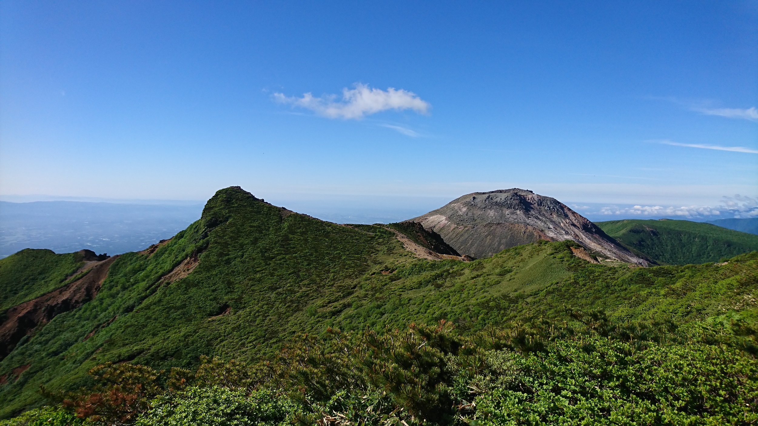 夏が始まりました！