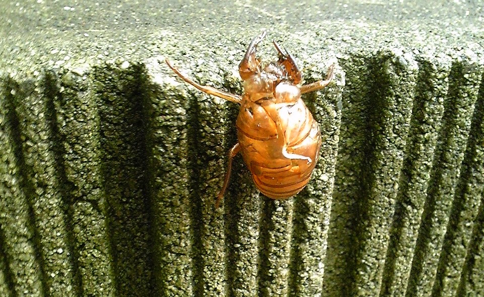 ついに来ました！？