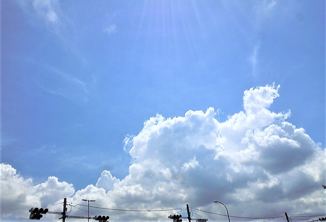 関東は梅雨明けしました。 (#^^#)