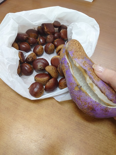 あけび