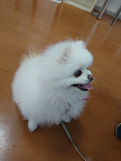 癒し・・・♡