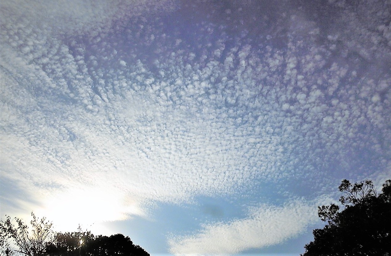 うろこ雲