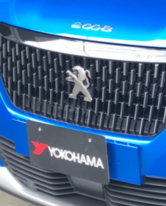 【PEUGEOT 2008】＆【iceGUARD 7】
