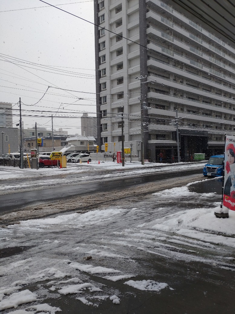 冬だ～雪だ～大荒れだ～《ﾟДﾟ》