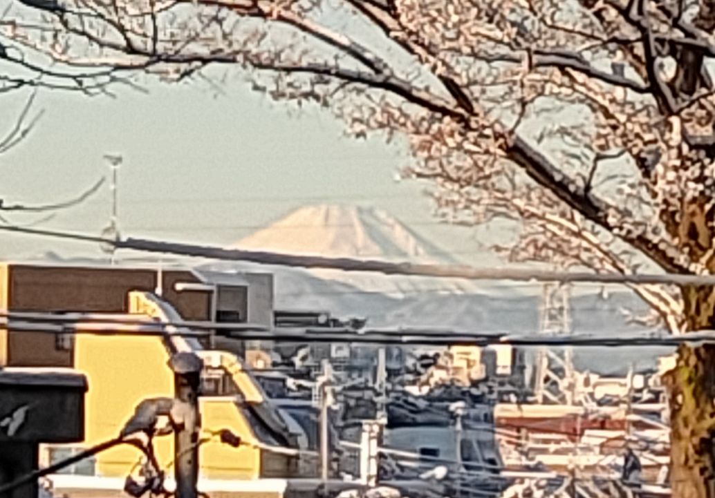 今年もよろしくお願いいたします