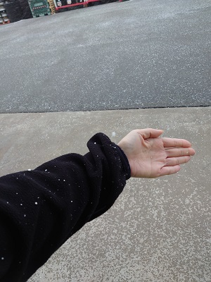 降ったりやんだり・・・