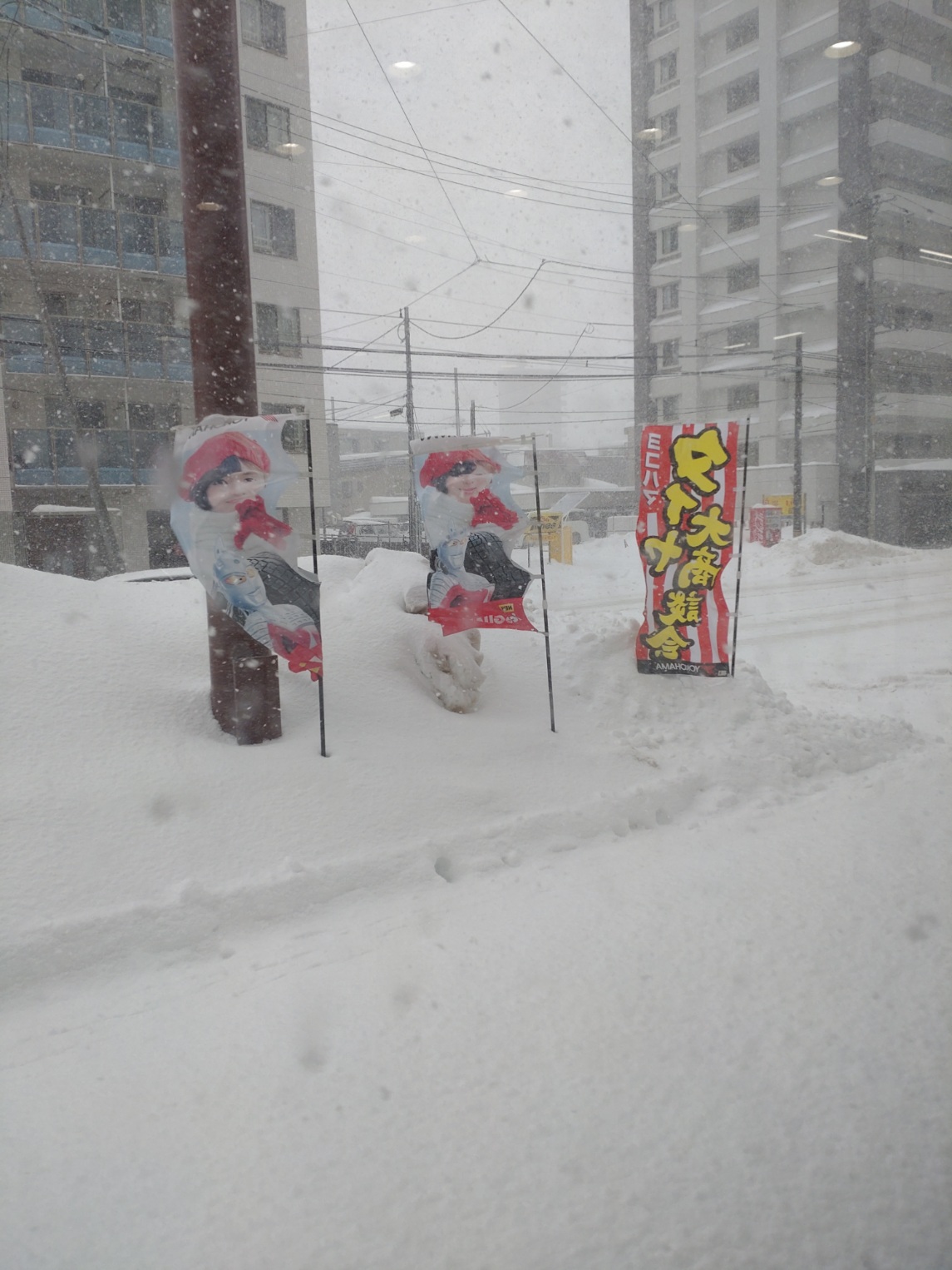 雪はいつまで･･･