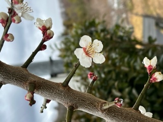 朝からほっこり(✿◡‿◡)