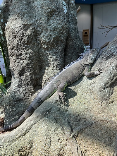 ちっちゃな動物園