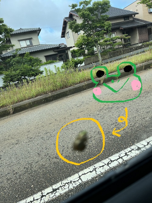 仲良く通勤