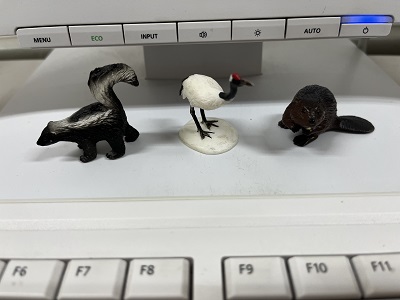 珍獣