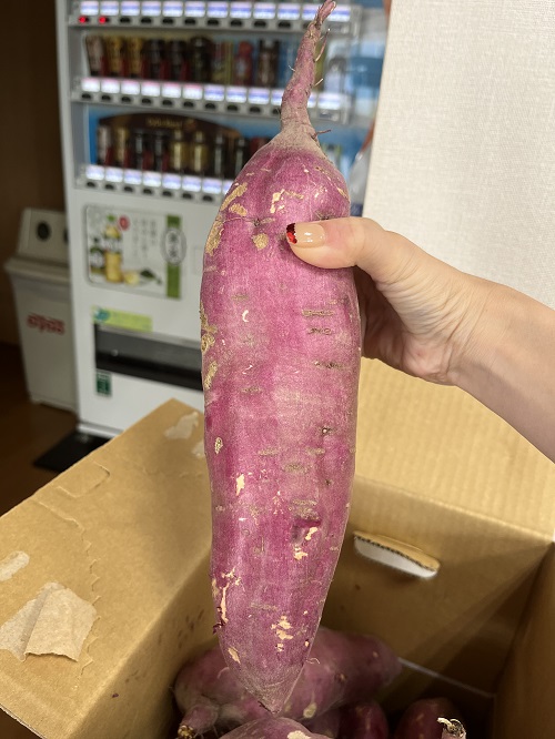 秋といえば・・・・(●&acute;&omega;｀●)
