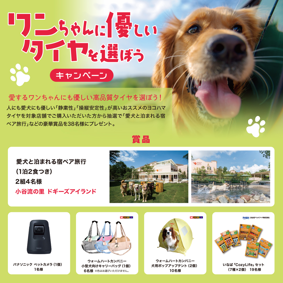 ワンちゃんと楽しむWキャンペーンその2