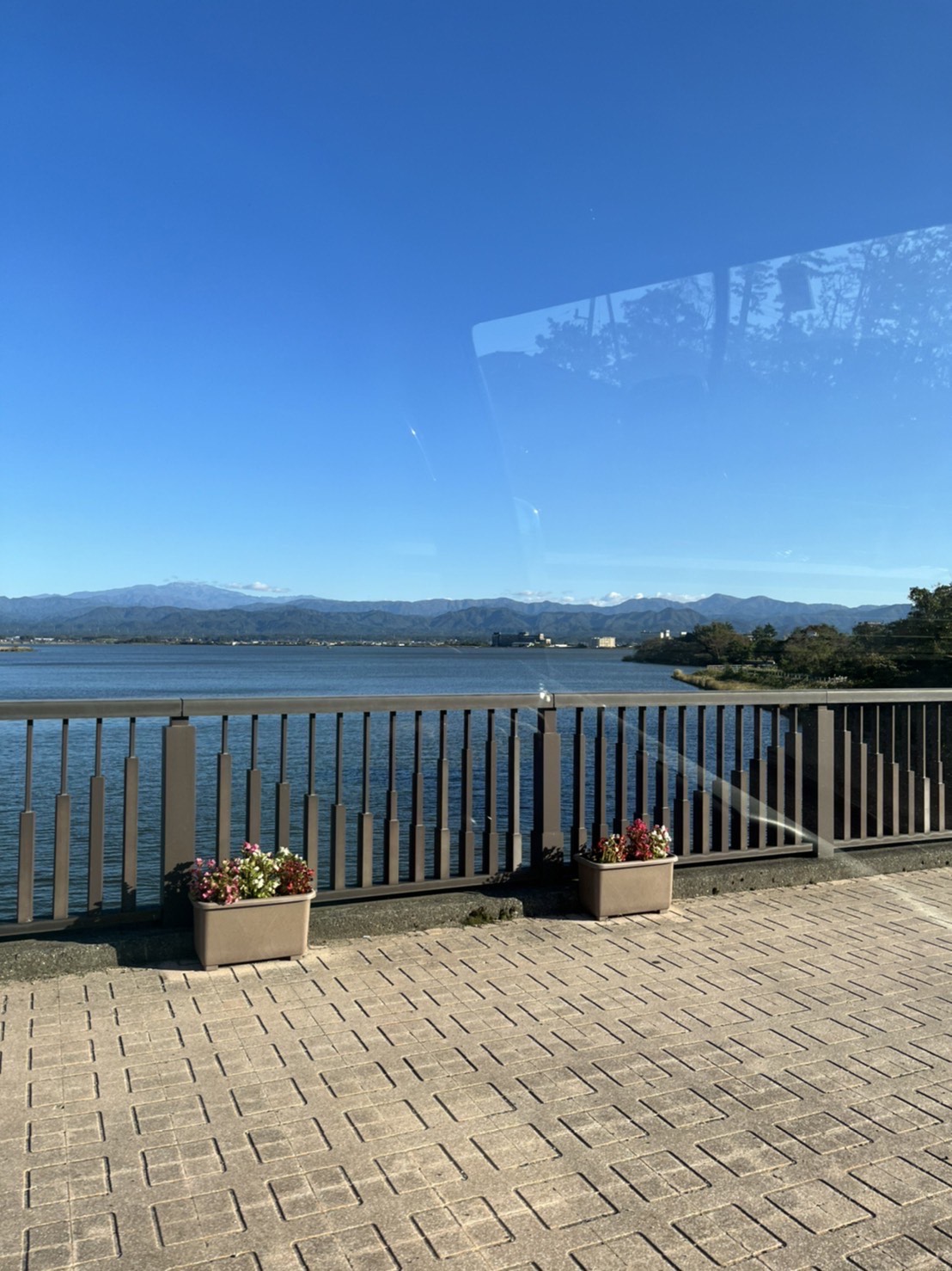 木場潟湖(゜-゜)