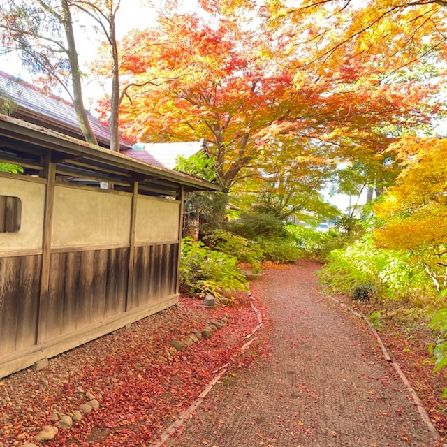 紅葉を見にいこうよう　☘︎倉内☘︎