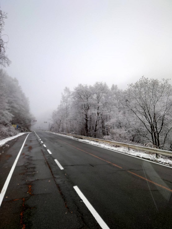 TG津雪情報