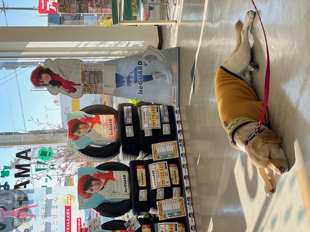 本日はおやすみです