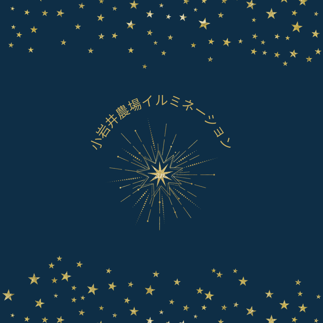 イルミネーション　☘︎倉内☘︎