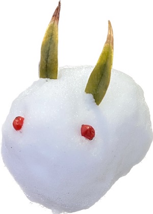 明けましておめでとうございます