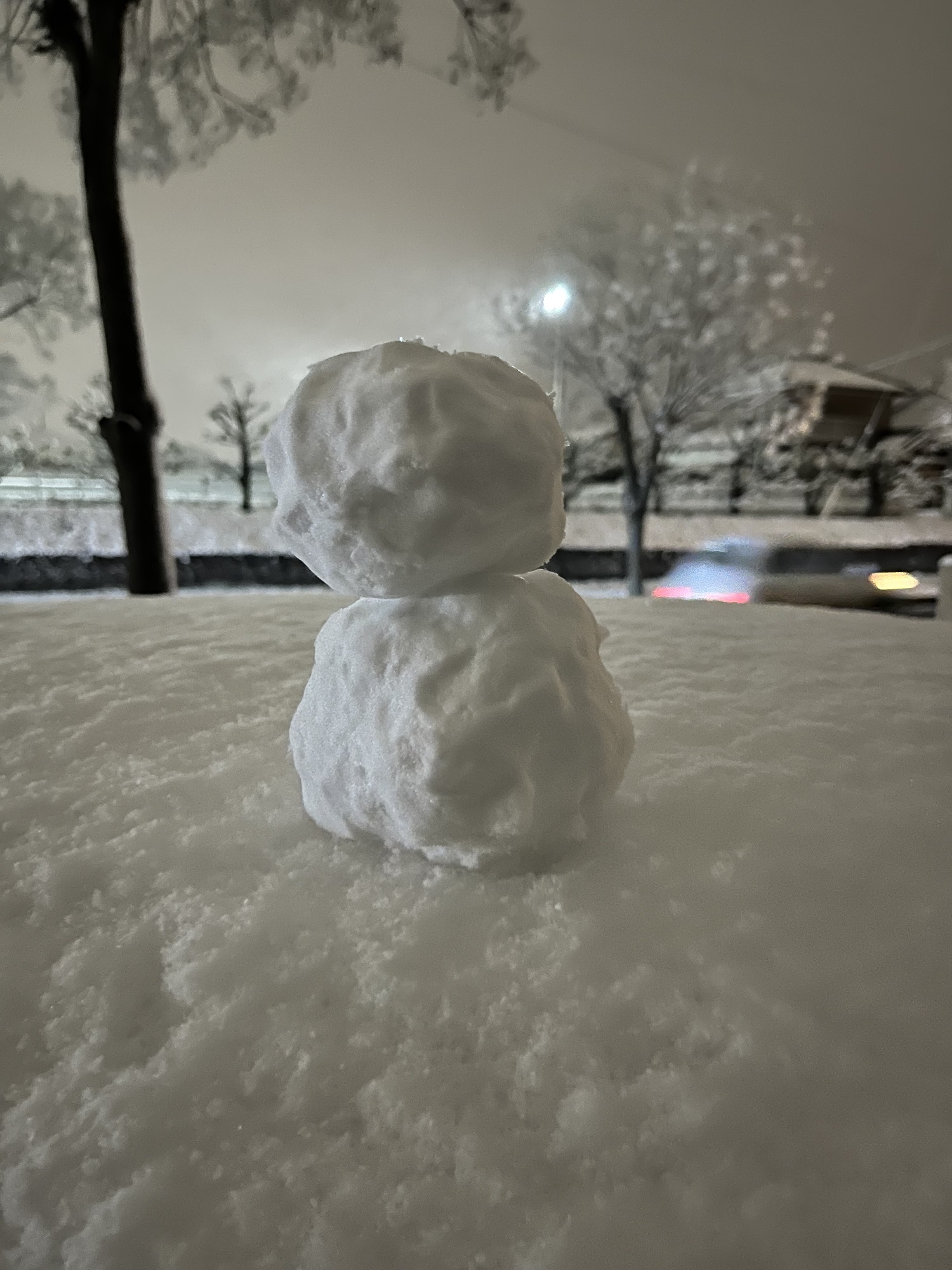 雪だるま！！