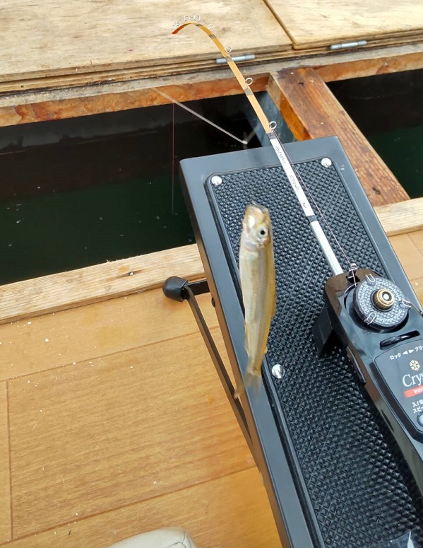 岩洞湖ワカサギ釣り