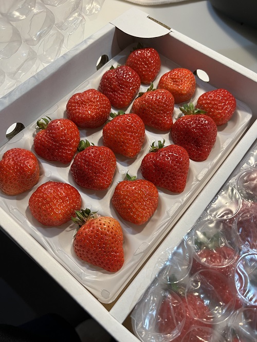 届いた届いた(*&acute;з`)