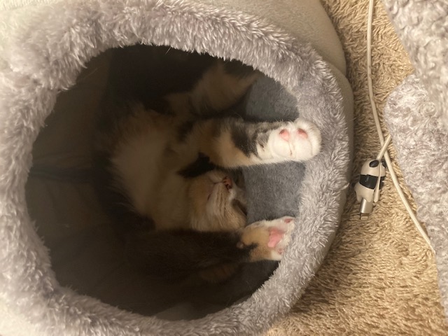 パンク保証