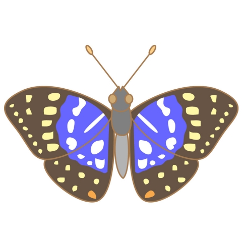 おおむらさき※閲覧注意